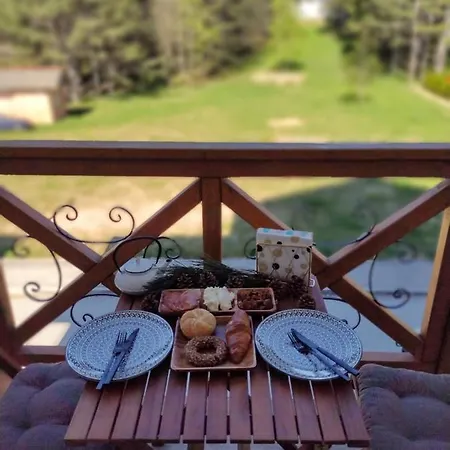 As - Sa Garazom Apartment Zlatibor