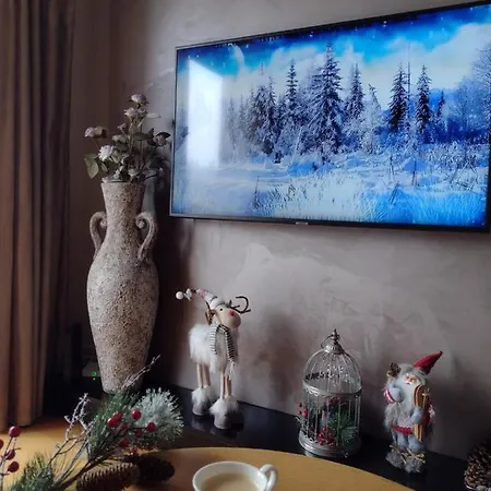 As - Sa Garazom Apartment *