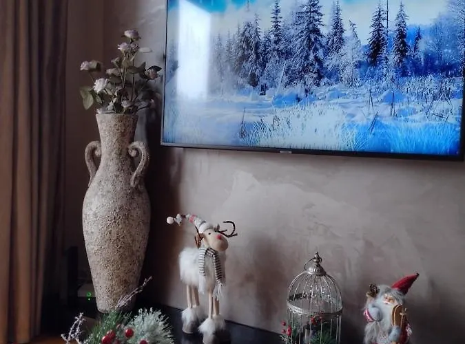 As - Sa Garazom 公寓 *